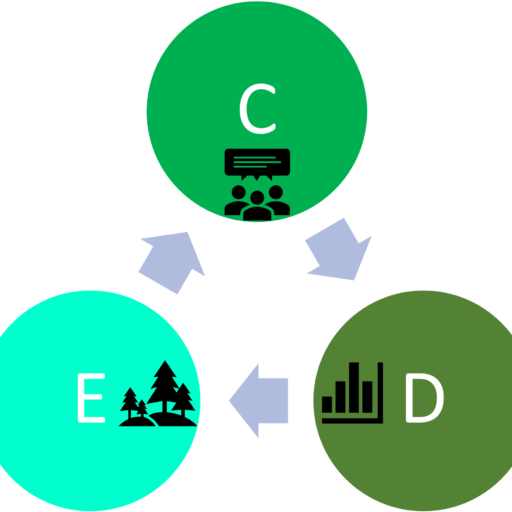 Conseil Développement Environnement et Economie Circulaire - Consulting Development Environment and Circular Economy
